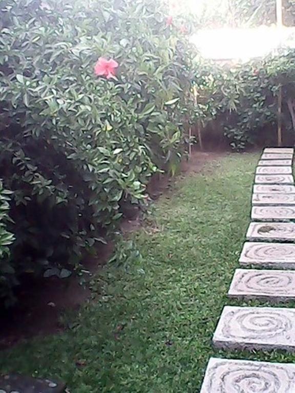 Bali Sari Homestay Amed  Luaran gambar