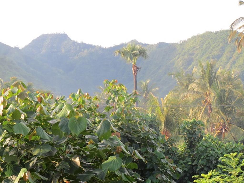 Bali Sari Homestay Amed  Luaran gambar