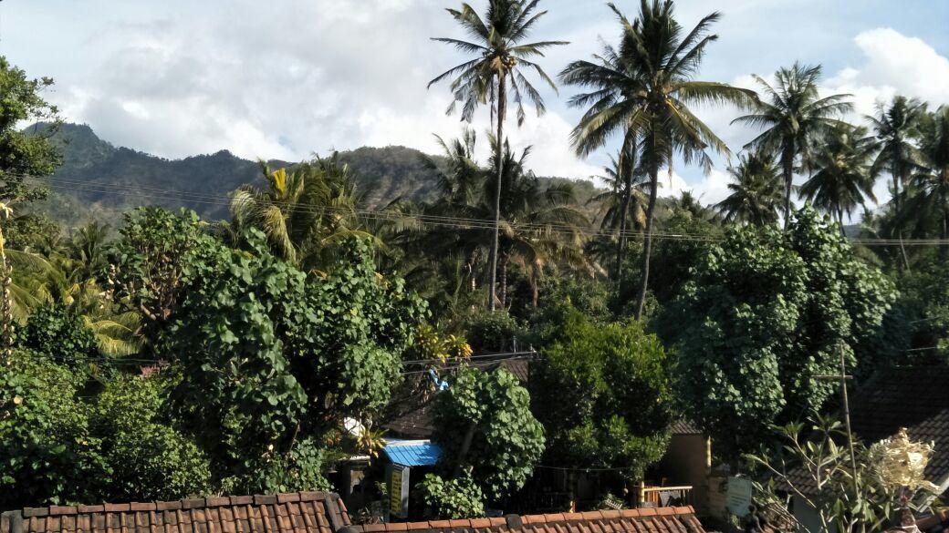Bali Sari Homestay Amed  Luaran gambar